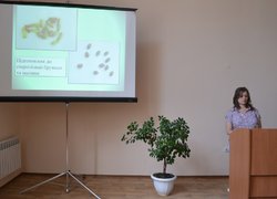 Світлана Макаринська, аспірант кафедри лісового господарства УНУС